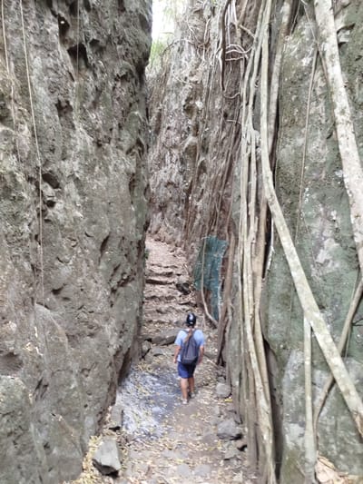 A man with a dark-colored backpack walks away from the viewer on a pathway that is set between tall, rocky cliffs. The pathway is covered with leaves and stones. The man wears a light blue shirt, dark blue shorts, a black helmet, and sandals. Tree roots hang down from the cliffs on the right side of the path. A section of green mesh fencing can be seen on the right. The location is Đà Giang, Vietnam.