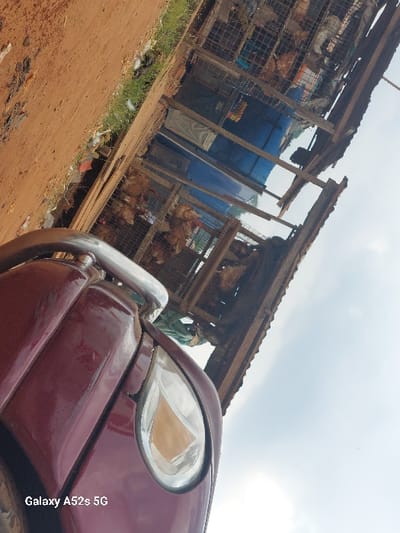 This image, captured in Awkuzu, Nigeria, presents an outdoor scene featuring a makeshift market stall adjacent to an unpaved dirt road. In the immediate foreground, the front right portion of a dark red vehicle is visible, showing its fender, headlight, and a chrome bull bar. The ground beneath the vehicle and extending into the midground is a reddish-brown dirt surface, exhibiting sparse green vegetation and scattered debris along its edge. Dominating the center of the image is a multi-tiered, open-air market stall constructed from rough wooden framing and wire mesh. Numerous live chickens are housed within multiple wire cages stacked vertically within this structure. A blue tarp or fabric is utilized as a partial covering or backdrop within the stall. Indistinct market goods are also visible within the stall structure. The upper background features a light blue sky with scattered white clouds. No people are discernible in the scene.