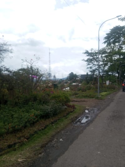 The image presents an outdoor scene in Sarwahi Mal., India, captured under an overcast sky. A paved road occupies the right side of the frame, running from the foreground into the mid-ground. Adjacent to the road, on its left, is a muddy, grassy shoulder containing puddles and scattered white debris. To the left of the shoulder, the mid-ground is dominated by an extensive area of dense green vegetation, including shrubs and trees, punctuated by visible pink, purple, and orange flowers. A tall, slender communications tower stands prominently in the distance, rising above the vegetation. On the right side of the road, a grey, curved street light pole is visible, with several large green trees situated behind it. The rear of a dark-colored vehicle, displaying a red taillight, is partially visible on the far right edge of the road, facing away from the viewer. In the background, distant hills with indistinct structures are present. No people are visible within the frame. The overall image exhibits a general lack of sharpness.