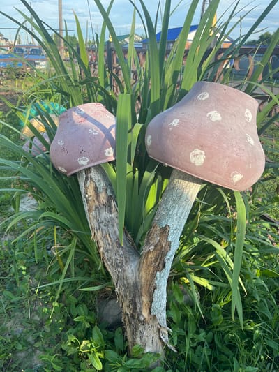 This is a close-up, eye-level outdoor shot of two decorative mushroom sculptures in what appears to be a yard in Mal'tsevo, Russia. The mushrooms are made of a pinkish-brown material, with white circular spots painted on the caps. They are mounted on weathered, split wooden trunks that branch out from a single base. The sculptures are surrounded by tall, green, grass-like plants and other low-lying green foliage. In the background, a weathered wooden fence with decorative metalwork is visible, as are hints of buildings with blue roofs and a blue vehicle. The sky is a light blue with some clouds, suggesting it is daytime.