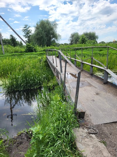 This is a full shot, taken from a low angle, of a narrow metal footbridge crossing a small, vegetation-lined waterway. The bridge has a weathered metal deck and railings, and some puddles are visible on its surface. The waterway is filled with tall, green reeds and has dark, reflective water. A large, leafy tree is prominent in the background, alongside other dense greenery and a blue sky with scattered white clouds. A utility pole is visible on the left side of the image. The scene appears to be in a rural or semi-rural area, possibly Zolotonosha, Ukraine, given the context. No people are present in the image.
