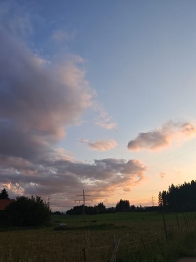 The image captures a rural landscape at dusk, likely in Nesselwang, Germany. A vast sky dominates the upper portion, transitioning from a deep blue at the top to a soft orange and pink hue near the horizon, indicating sunset. Clouds are scattered across the sky, with some appearing dark and heavy, while others are tinged with the warm colors of the setting sun.

Below the sky, a treeline of dark evergreen trees stretches across the middle ground. In front of the trees, a green field or pasture is visible, with some fence posts and wires demarcating the foreground. A tall, green pylon with power lines stretches upwards into the sky, a man-made structure contrasting with the natural elements. To the left, a red-roofed building peeks out from behind a dark green tree line. In the distance, hills are faintly visible against the horizon. There are no people visible in the image, but a single brown animal, possibly a cow or horse, is present in the field. The overall scene suggests a tranquil, natural setting at the end of the day.