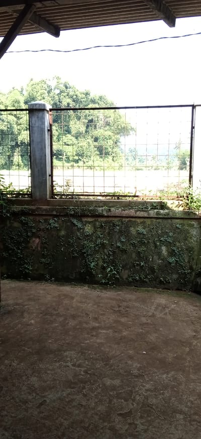 An outdoor scene in Ciapus, Indonesia, shows a ground level perspective looking towards a partially covered fence and a wall. The foreground is a dirt or concrete ground. A textured, moss-covered concrete wall runs horizontally across the mid-ground, with small green plants growing on its surface. Above the wall is a wire mesh fence supported by a concrete pillar on the left and a metal frame on the right. Beyond the fence, lush green trees and foliage are visible under a bright, overcast sky. A wooden roof structure is partially visible in the upper portion of the frame. There are no people or animals present in the image.