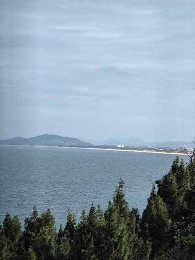 The image displays a coastal panorama from an elevated viewpoint in Tuy Phong 4, Vietnam. The lower third of the frame features dense, dark green evergreen tree canopies. Beyond these, a wide body of dark blue-grey water extends to the horizon, showing slight surface texture. A light sandy beach forms the distant coastline, backed by hazy, blue-grey mountain ranges. On this distant shore, a large white building complex and other structures are visible toward the right. The upper portion of the image shows an overcast sky with horizontal stratiform clouds in shades of light blue and grey. No human subjects, actions, or interactions are present.
