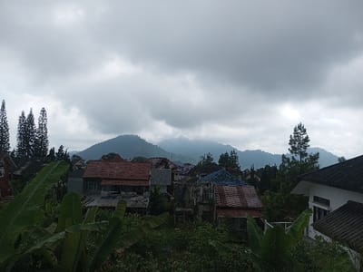The image displays an elevated view of a residential area within Kondha, India, under a heavily overcast sky. In the foreground, large green leaves, consistent with banana plants or similar broadleaf vegetation, are prominent. The midground contains a cluster of multiple-story residential buildings with diverse architectural styles and roof materials, including red, brown, and blue-grey tiles. Some structures appear older, while a section of a white-walled house with a dark grey roof is visible on the far right. Several tall, slender coniferous trees, indicative of pine species, are interspersed among the buildings, notably on the left and right sides of the frame. The background features a range of verdant mountains and hills, partially obscured by low-hanging, uniform grey cloud cover. No individuals or discernible activities are present.