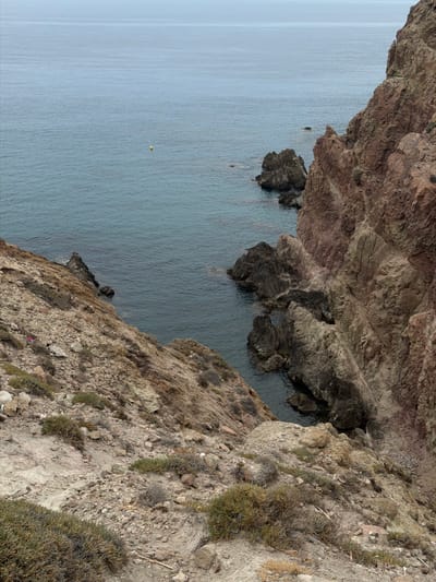 This is a high-angle, vertical shot of a rugged coastal landscape in Níjar, Spain. The scene features a dramatic cliff face dropping down to the sea. The cliff is composed of layered, rocky strata in shades of brown and gray, with sparse, dry vegetation clinging to its surface. Small green tufts of grass and dried bushes are scattered across the rocky terrain, suggesting a dry, possibly Mediterranean climate.

The sea below is a calm, muted blue-gray, with subtle ripples indicating gentle movement. Several dark, jagged rocks emerge from the water near the base of the cliff, sculpted by the waves. In the distance, the water stretches out to a hazy horizon. A small, bright yellow object, possibly a buoy or marker, is visible floating on the water.

The overall impression is one of natural beauty and geological formation. The lighting suggests it is daytime, possibly overcast or early morning/late afternoon given the soft light and lack of harsh shadows. There are no people or specific human-made objects, except for the potential marker on the water. The image conveys a sense of solitude and the raw power of nature. The location is identified as Níjar, Spain, which is known for its dramatic coastal scenery. There is no visible text in the image.