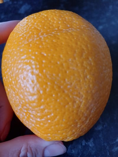 This media file is a close-up, top-down view of an orange being held by two hands. The orange is the central subject, filling most of the frame. Its skin is textured with small pores and has a bright orange color, with some lighter, almost white speckles visible on its surface.
The hands holding the orange are partially visible on the right and bottom edges of the frame. One hand, on the right, shows fingers and fingernails. The other hand, at the bottom, appears to be supporting the orange from underneath. The skin tone of the hands is fair.
The background is dark and appears to be a textured surface, possibly a countertop. The lighting suggests an indoor setting, with the light source likely coming from above or slightly to the side, illuminating the orange. There is no discernible time of day or weather information.
The scene is static, with no apparent activity or event taking place other than the holding of the orange. The focus is on the texture and color of the fruit. No text is visible in the image. The overall impression is a simple, everyday object presented in detail.