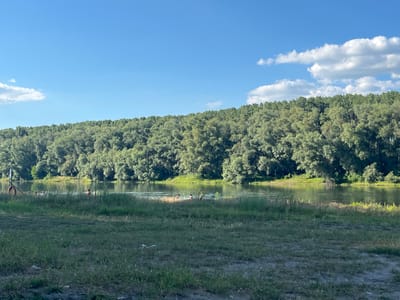 The image depicts a tranquil natural scene along the Dniester River in Vadul lui Vodă, Moldova. The foreground is dominated by a grassy area with scattered patches of dry grass and some debris. In the middle ground, the calm river reflects the bright blue sky, which is dotted with a few fluffy white clouds. Along the riverbank, a dense line of lush green trees forms a continuous forest that stretches across the horizon. A few people are visible in the shallow water near the bank, some appearing to be wading or swimming. To the left of the river, a red lifebuoy is attached to a post, suggesting this is a recreational area. The overall impression is one of a peaceful summer day by the water.