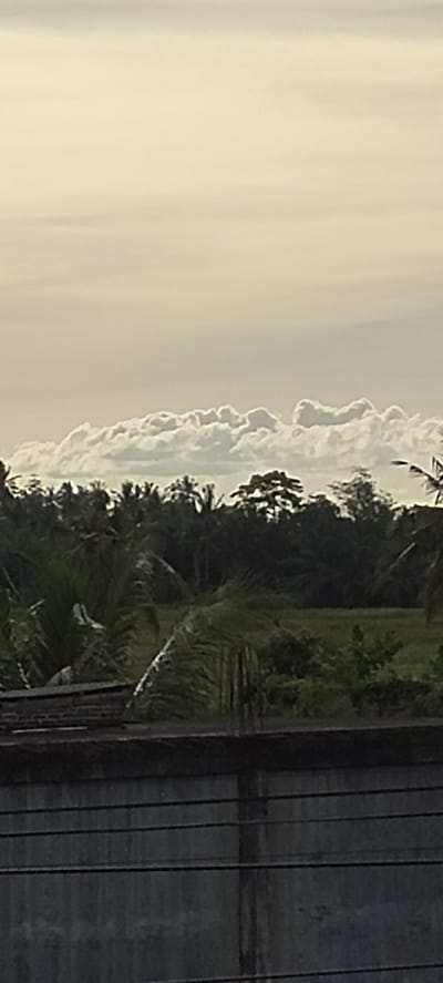 A vertical, low-angle photograph captures a cloudy sky above a dense tree line and a concrete barrier. The sky is overcast with pale yellow and white clouds, appearing diffused and soft. Below the clouds, a line of trees, primarily palm trees with some broader-leafed varieties, forms a dark green silhouette against the lighter sky. A patch of green field is visible beyond the trees. In the foreground, a dark gray concrete wall runs horizontally across the bottom of the frame, with thin black wires stretched across its surface. The scene appears to be a natural landscape with some man-made structures, possibly in a rural or suburban area of Meunyematangubi, Indonesia, given the presence of palm trees.