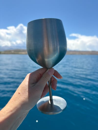 A woman's arm and hand hold a metal wine glass against a backdrop of the blue ocean and partly cloudy sky. A thin strip of land is visible between the water and the sky. The photograph is oriented so the horizon and the ocean waves are vertical. The location is not specified, and there is no evidence to suggest that it is Tong, Kyrgyzstan.