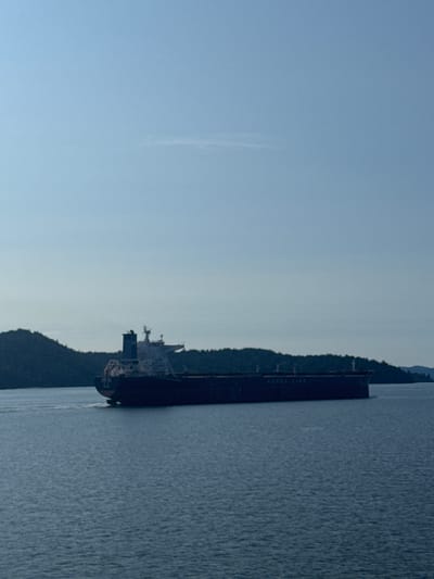 A large cargo ship is sailing on a body of water with a forested shoreline in the background. The sky is clear and light blue. The ship is dark-colored with a white superstructure. Text reading "KOREA LINE" is visible on the side of the ship. The water is calm and dark blue. The shoreline is lined with dark green trees. The location appears to be a natural harbor or bay.