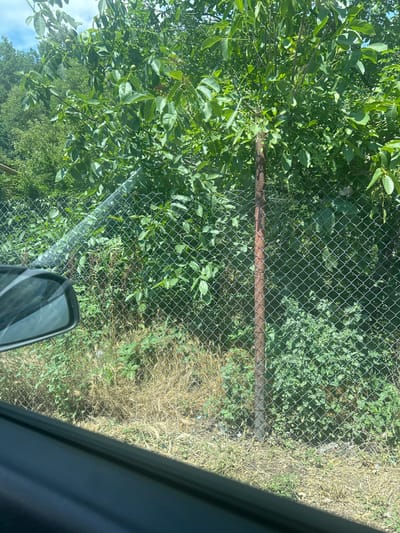 The image shows a view from inside a vehicle looking out at a chain-link fence. The fence runs horizontally across the frame, with a rusty metal pole supporting it. Beyond the fence, there is dense green foliage, appearing to be trees and bushes. Some dry grass and weeds are visible at the base of the fence. A car's side mirror is visible on the left side of the image, indicating the perspective is from a vehicle. The sky is visible through the leaves of the trees, suggesting an outdoor setting. The location is identified as Dolna Vasilitsa, Bulgaria.