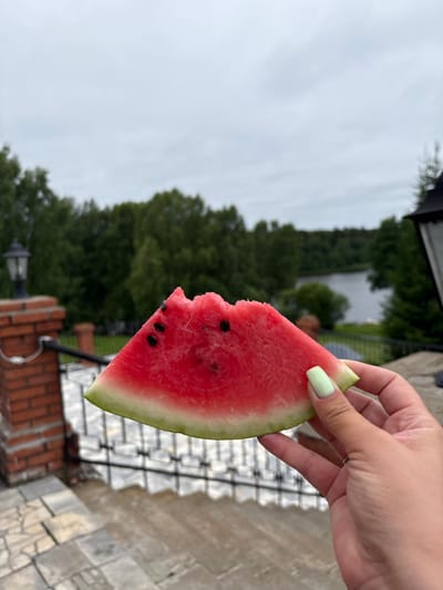 An overhead shot captures a slice of watermelon being held by a hand with pale green nail polish. The watermelon is bright pink with visible black seeds, and the rind is a pale green. The background features a cloudy sky above a dense line of green trees that meet a body of water. In the foreground, a brick structure with a black lamppost sits to the left, and a black metal railing runs horizontally across the midground. The ground is paved with light-colored stones.