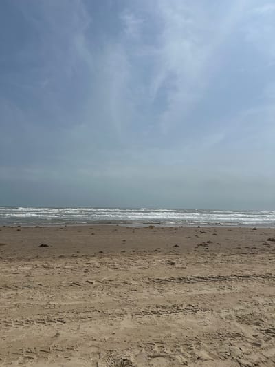 The image displays a wide, ground-level view of a beach on South Padre Island, United States of America, facing the Gulf of Mexico under a hazy, pale blue-grey sky. The foreground and midground consist of damp, light brown sand, textured with numerous parallel tire tracks from vehicles and indistinct footprints. Scattered clumps of dark brown organic material, likely seaweed, are dispersed across the sand, particularly closer to the water's edge. The ocean occupies the midground, presenting several distinct lines of white-capped waves breaking towards the shore across a muted grey-green water surface. The horizon line where the ocean meets the sky is flat and clear. No people, animals, or man-made structures are visible.