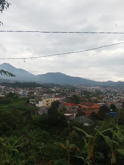 An elevated, wide-angle photograph depicts a densely populated urban area identified as Bhupalpally, India, situated against a backdrop of multiple mountain ranges. The sky is overcast with uniform grey clouds. In the far background, dark, hazy mountains rise under the cloud cover. The midground features a sprawling residential city, characterized by numerous multi-story buildings and houses with varying roof colors, including prominent yellow and orange structures. The immediate foreground is dominated by lush, dark green tropical vegetation, including large-leafed plants resembling banana trees. Two dark, horizontal utility lines traverse the upper-mid section of the frame; the lower line features a small, circular attachment. Tree leaves are partially visible in the top-left corner. No individuals, specific actions, or interactions are discernible within the frame.