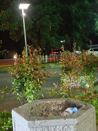 The image depicts a nighttime scene in Gorki-2, Russia. In the foreground, a large, weathered, concrete planter contains a plastic bottle of water with a blue cap. To the left and right of the planter are two small, leafy bushes, with some leaves exhibiting reddish-brown hues. Behind the bushes, a tall lamppost illuminates the area. In the background, several large trees with dense green foliage are visible. Further back, a street is visible with car headlights and taillights indicating passing vehicles. The overall environment appears to be a public outdoor space, likely a park or roadside area, with paved ground and sidewalk elements.