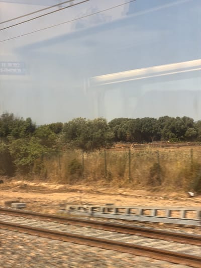 The image captures a view from a moving train window, looking out at a rural landscape in Spain. In the foreground, two parallel train tracks run diagonally from the bottom left towards the center right of the frame. Beyond the tracks, dry, golden grass and dirt cover the ground, with some patches of scrubby bushes. A low wire fence runs horizontally across the middle ground. Behind the fence, a dense line of trees, predominantly dark green foliage, stretches across the horizon. The sky is a pale blue with some diffused white clouds. Reflections are visible on the train window, showing overhead wires and the interior of the train. Text from an interior sign is reflected on the left side of the window, reading "COCHE 03" and some unreadable characters below. The overall impression is a sun-drenched, dry, and somewhat arid landscape, typical of many parts of Spain.