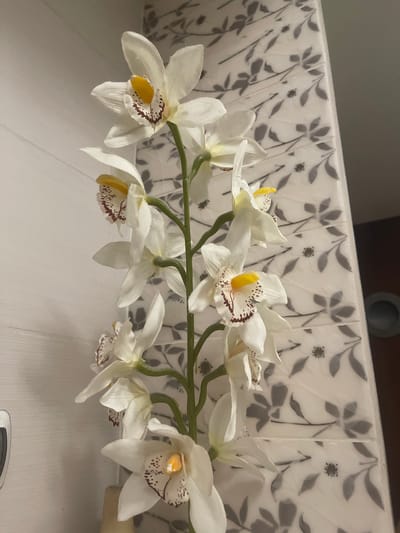 This is a close-up, eye-level, indoor shot of a faux white orchid plant with a tall stem adorned with multiple blooms. The orchid is positioned in the foreground, with its delicate white petals, yellow centers, and subtle burgundy speckles being the primary focus. The background features a tiled surface with a repeating floral pattern of stylized grey leaves and flowers. To the left, a portion of a white, horizontally slatted wall is visible. The lighting appears to be artificial and soft, casting subtle shadows and highlighting the textures of the orchid petals and the tiles. There are no people or animals in the image. The scene is static and appears to be a decorative arrangement in a domestic or commercial setting. The image does not contain any information that would allow for its location to be identified as Konstantynów Łódzki, Poland.