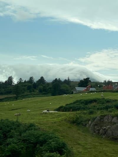 An overcast sky with a band of thick, low-hanging clouds stretches across the upper half of the image. Below this, a rolling green hillside is dotted with sheep grazing. In the middle ground, there are scattered trees and a few buildings, including a stone structure with a metal roof and an orange excavator nearby. Further in the distance, more trees and buildings are visible, with the low clouds obscuring the upper parts of the landscape. The foreground features dense green foliage. The scene appears to be a rural landscape in or near Creeslough, Ireland.
