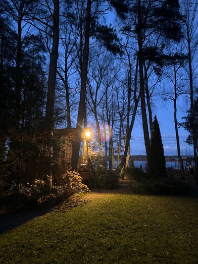 The image captures a landscape at dusk or night, possibly located in or near Baltezers, Latvia, given the reference in the prompt. A row of trees dominates the left side of the frame, their bare branches reaching up into a darkening blue sky. In the center, a bright light fixture illuminates a treehouse structure, casting a warm glow on the surrounding vegetation. A path or grassy area extends to the right, transitioning from the illuminated area to deeper shadows. In the distance, a body of water is visible, with some structures along its shore. The overall atmosphere is serene and dimly lit.