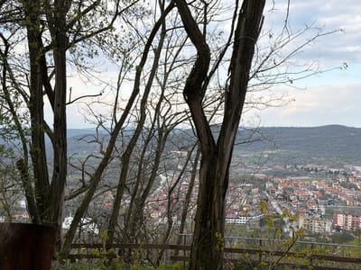 The image presents a view of Bratsigovo, Bulgaria, framed by tree trunks and branches in the foreground. The location appears to be an elevated vantage point, possibly a hillside or park overlooking the town. The foreground features a wooden fence.
The town of Bratsigovo is visible in the midground, characterized by buildings with reddish-orange roofs, mixed with residential buildings and apartments. Beyond the town, a landscape of rolling hills and forest stretches towards the horizon under a cloudy sky.