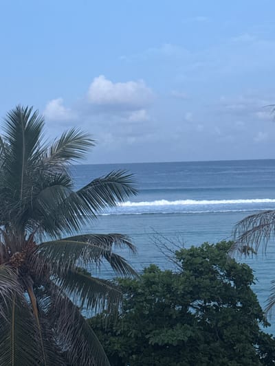 A tropical scene overlooking the ocean is captured in this vertical, medium-shot image. The foreground is dominated by the fronds of a palm tree, its leaves a dark green, some appearing dry and brittle. To the right and lower foreground, a dense canopy of green leaves from another tree obscures the view of the ocean below.
The ocean stretches across the middle ground, a deep blue merging with a lighter, turquoise hue closer to the shore. A clear line of white waves breaks on a reef or sandbar, creating a distinct contrast against the water. The horizon is a sharp, straight line where the ocean meets a pale blue sky. Wispy, white clouds dot the sky, suggesting a bright day. There are no people, animals, or man-made structures visible in the frame. The image appears to be taken from an elevated viewpoint, possibly a hotel balcony or a hill, looking out towards the sea.
The location is likely Malé, Maldives, given the characteristic tropical vegetation and the clear blue ocean with its visible reef breaks, common in the Maldivian atolls.