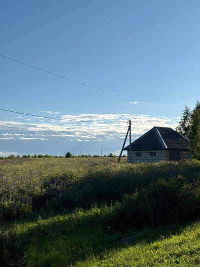 The image shows a rural scene in Ostrovskoye, Russia, on a sunny day with scattered clouds. A small, weathered house with a dark, corrugated metal roof and light-colored brick walls is visible on the right side of the frame. The house has a few small windows and what appears to be a sign with red text above one of them, although the text is not legible.
In front of the house, a field of purple flowers, possibly lupines, stretches towards the horizon. Tall green grass and bushes flank the field, with a prominent wooden utility pole with wires in the foreground. The sky is a clear, bright blue, with long, thin clouds stretching across it. The sunlight casts shadows, indicating it is likely mid-morning or late afternoon. The overall mood is peaceful and serene, capturing a typical summer day in the Russian countryside.
