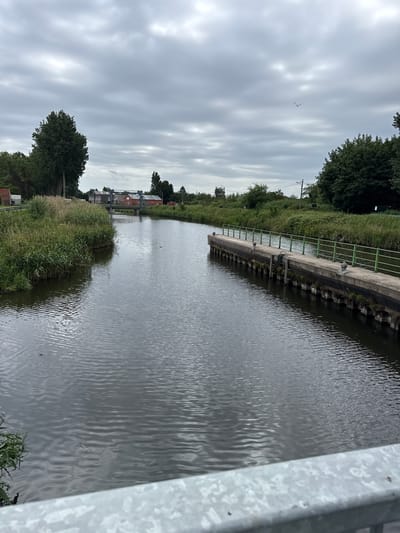 The image shows a canal with calm water, reflecting the overcast sky. On the right bank, there is a concrete walkway with a green metal railing. The walkway appears to be a part of a canal lock or mooring area, with bollards and submerged wooden pilings visible. On the left bank, tall grasses and reeds grow densely, obscuring the land beyond. In the distance, several buildings are visible, including houses and industrial-looking structures with red roofs, suggesting a semi-urban or rural setting near the canal. A bird is seen flying in the sky. The foreground of the image is occupied by a blurry metal railing, indicating the photo was taken from a bridge or elevated vantage point. The overall scene suggests a tranquil, overcast day in Eeklo, Belgium, likely along a waterway that runs through or near the town.