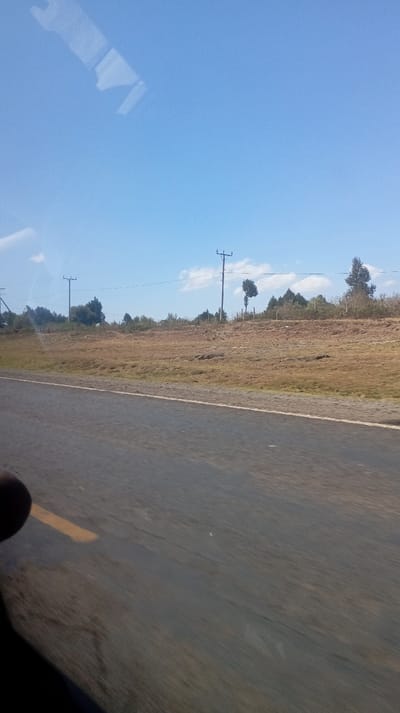 A rural landscape seen from a moving vehicle shows a paved road in the foreground. Beyond the road, a strip of dry, grassy terrain leads to a line of sparse trees and bushes. Several wooden utility poles stand along the horizon. A clear blue sky with minor cloud cover is visible above. A blurred reflection appears in the upper left, while a dark shadow is present in the lower left corner.