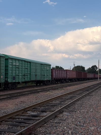 The image shows a freight train on a railway track under a partly cloudy sky. The train consists of several boxcars, some of which are dark red and others are a vibrant green. The tracks are surrounded by gravel and some dry grass. Trees are visible in the background, suggesting a rural or semi-rural setting. The time of day appears to be late afternoon or early evening, given the quality of light. There are no people visible in the image.
Notable details include the license plate or identification numbers on the green boxcar, which appear to read "2917 6047" and "10799". Other markings on the green car include "PKD/RZD" and what seem to be weight specifications. The dark red boxcars also have markings, but they are less legible. The presence of railway infrastructure suggests this is a functional transportation route. The overall mood is one of stillness and industrial activity in a natural landscape. The location is identified as Kant, Kyrgyzstan.