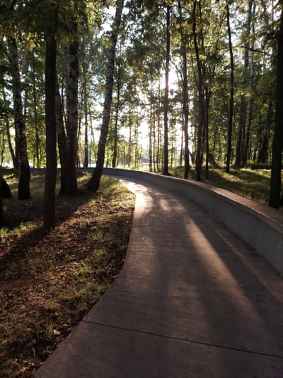 The image depicts a pathway in a park-like setting, likely in Razvetye, Russia. The pathway is paved with a concrete material and curves gently to the right. Sunlight filters through the dense canopy of trees lining the left side of the pathway, casting dappled shadows on the ground and the path itself. The trees are tall and slender, with a mix of leafy green foliage and some with distinctive white bark, suggesting a mix of species, possibly including birch. The ground beside the pathway is covered in dry leaves and patches of green grass. The sun appears to be low in the sky, either early morning or late afternoon, given the long shadows and warm, golden light. There is no visible text in the image. The scene evokes a sense of tranquility and natural beauty, with the interplay of light and shadow creating a peaceful atmosphere.