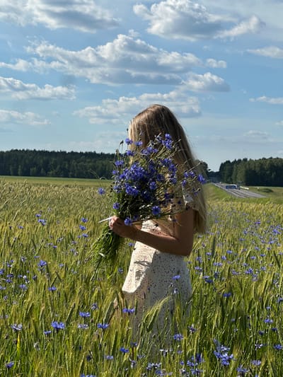 In a field of wheat and blue cornflowers, a young woman with long blonde hair holds a large bouquet of cornflowers. She is wearing a white dress with small red flowers. The field extends to a treeline in the background, beyond which a highway with cars can be seen. The sky is blue with scattered white clouds. The scene is set in the rural area of Парыцкі сельскі Савет, Belarus.