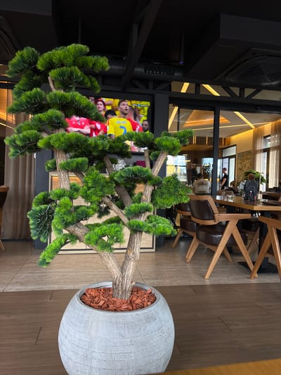 A decorative artificial pine tree in a textured grey pot sits in the foreground of a modern restaurant. The tree's branches extend upwards and outwards, adorned with vibrant green foliage. Behind the tree, a large television screen displays a soccer match, with players in yellow and red jerseys visible. The background reveals a contemporary dining area with wooden tables and chairs. Several patrons are seated at tables, some appearing to be engaged in conversation or watching the game. The restaurant features a stylish interior with exposed ceiling beams and ambient lighting. The floor is a combination of dark wood planks and lighter textured tiles. This scene is located in Loznica, Serbia.
