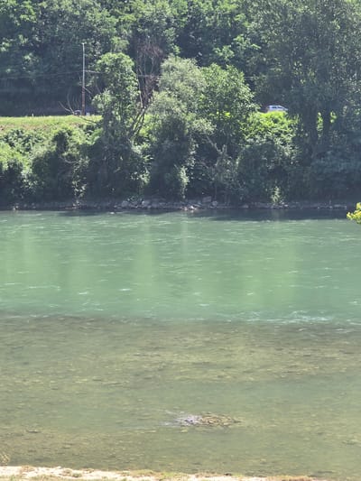 The image shows a wide, turquoise river with a visible riverbed in the foreground, indicating shallow water. The river is bordered by a dense, green forest that covers the hillside on the opposite bank. A single white car is parked among the trees on the upper bank. A utility pole with wires is also visible on the left side of the upper bank. The scene appears to be a natural landscape, likely in the Zvornik area, characterized by lush vegetation and the flowing river.