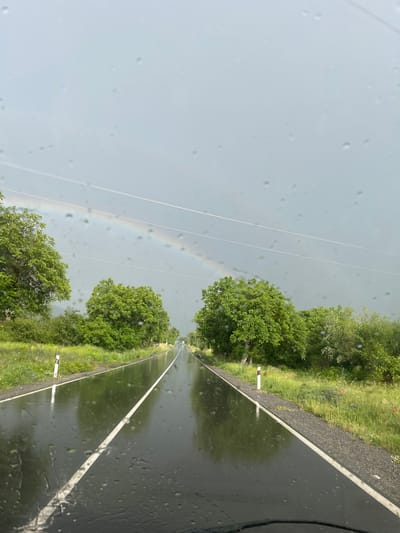 The image shows a road running through a rural landscape, likely taken from inside a vehicle during or shortly after a rain shower, as evidenced by water droplets on the glass. A rainbow is visible in the background sky, which appears overcast. Power lines are strung across the sky. The road is wet and reflects light, with a white line marking the lane. Vegetation, including trees and grass, lines the sides of the road. A small white and red roadside marker is present along the shoulder. No people are visible. The location is Pevtsite, Bulgaria.