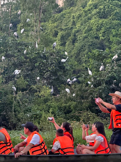 In Yen Son Ward, Ninh Binh City, Vietnam, a group of people are on a boat in a waterway. The boat is populated with individuals wearing orange life vests. Several people are actively taking photos with their phones, directed towards the surrounding trees. The trees are densely packed and filled with numerous birds, many of which are perched on branches. Some birds are in flight, with their wings spread. The overall scene depicts a wildlife viewing experience.