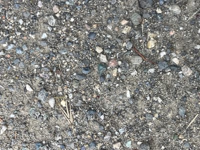 This image shows a close-up, overhead view of a gravelly ground surface. The ground is composed of a mixture of small stones, pebbles, and sand. The stones vary in size, shape, and color, with shades of grey, white, brown, and black being most prominent. Some stones are smooth and rounded, while others are angular and irregular. There are also a few larger rocks interspersed among the smaller gravel.
Scattered across the surface are a few dried blades of grass and a thin, twig-like object. The overall texture of the ground is rough and uneven. The lighting suggests it is daytime, and the absence of any shadows or discernible sky cues makes it difficult to determine the exact time of day or weather conditions.
The image provides no information about people, specific objects beyond natural elements, or any events taking place. The context provided indicates the location is "Средний, Russia," which translates to "Middle" or "Central," suggesting a general geographical area within Russia. This is the only contextual information available. There is no visible text in the image. The scene is simple and focuses solely on the natural composition of the ground.