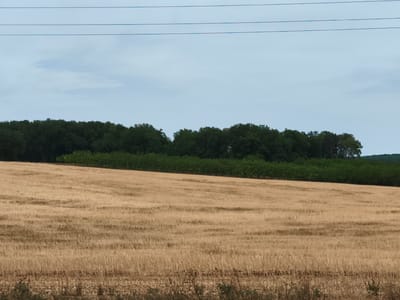 The image shows a wide, harvested field of golden straw under a cloudy sky. In the background, a dense line of dark green trees forms a natural barrier, with a few taller trees interspersed among them. Three thin, dark lines, likely power lines, stretch horizontally across the upper portion of the sky. The scene appears to be a rural landscape in Sorges et Ligueux en Périgord, France, characterized by agricultural land and a forested backdrop.