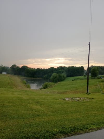 This is a landscape photograph taken in Bagdad, United States, likely during the early morning or late evening due to the soft, diffused light and the muted colors of the sky. The image is oriented vertically, with the ground and sky appearing on the left and right sides of the frame, respectively.

The scene depicts a rural setting with a prominent utility pole and power lines stretching across the sky on the left. A body of water, possibly a pond or a small lake, is visible in the middle ground, bordered by dense trees. The trees form a dark, lush line between the water and the sky. To the right of the water, a gently sloping grassy field dominates the foreground, appearing freshly mown in some areas. A dark asphalt road runs along the far right edge of the frame, with a strip of wilder vegetation bordering it.

In the distance, a white recreational vehicle (RV) is parked on the grass, suggesting recreational activity or camping. A dark metal fence is also visible, possibly delineating a property or an area within the landscape.

The weather appears overcast, contributing to the soft lighting and the hazy, diffused quality of the sky, which exhibits subtle tones of pink and orange, indicative of sunrise or sunset. There are no visible people or text in the image. The overall mood is tranquil and serene, characteristic of a quiet rural landscape.