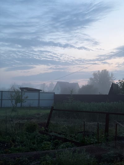 This is a vertically oriented, low-angle shot of a rural setting in Emel'yanovo, Russia, at dawn or dusk, characterized by a hazy, ethereal atmosphere. The sky is a dominant feature, filled with soft, undulating clouds in shades of white, pale blue, and hints of pink, suggesting either sunrise or sunset. A single thin power line stretches across the frame from the upper left to the middle right.
Below the sky, the scene depicts a backyard or garden area. A dark, corrugated metal fence runs along the right side of the image, partially obscuring a dense growth of green foliage and vegetation. The fence appears to be in disrepair in places, with rusty metal supports. Beyond the immediate foreground, a lighter colored, possibly aluminum or plastic, fence is visible, segmented into panels.
Further into the background, there are hints of houses or structures partially obscured by mist and foliage, adding to the sense of depth and the serene, almost melancholic mood of the image. The overall impression is one of quiet solitude and the soft transition between day and night in a rural landscape. No people are visible, and there is no discernible text in the image. The weather appears to be calm and perhaps slightly humid, contributing to the pervasive haze.