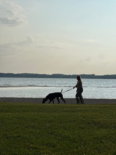 A silhouette of a person walks a dog on a leash along a rocky shore. The person wears patterned pants and a light-colored top, and the dog is dark in color. They are walking next to a body of water, likely a lake, with a tree-lined shore in the distance. The sky above is a pale blue with scattered clouds. The foreground consists of a grassy area. The image appears to be taken in Chieming, Germany, given the context.