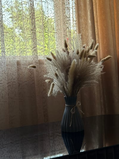 A dark, glossy table reflects a dark gray vase filled with dried pampas grass. The vase is adorned with a simple twine bow. Behind the vase, sheer, patterned curtains are illuminated by natural light filtering through trees outside a window. To the right of the sheer curtains, thicker, golden curtains are drawn. The scene appears to be indoors, possibly in a home or a commercial space like a cafe or flower shop, located in Lernamerdz, Armenia. There are no people present in the image, and the focus is on the still life arrangement of the vase and dried flowers.