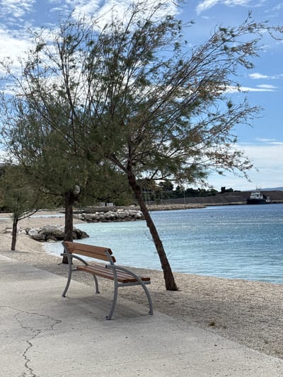 The image shows a view of a beach in Dugi Rat, Croatia, from a concrete walkway. The coordinates 43.445, 16.637 place the location near the Dugi Rat beach on the Adriatic coast. The walkway runs along the edge of the beach, which is composed of small white pebbles. A single wooden bench with a metal frame sits on the walkway, facing the water. A small boat is docked in the distance, and a small, green bush stands between the bench and the water. The large tree that dominates the scene is out of focus, obscuring the view of the beach. A blue sky with white clouds can be seen behind the tree. The water of the Adriatic Sea is a bright, turquoise blue.