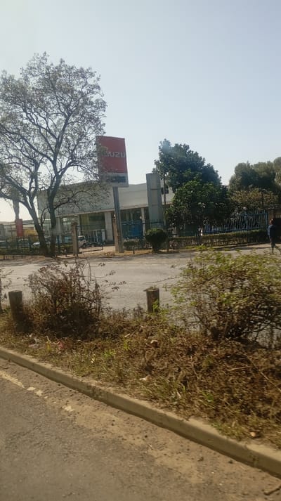 A roadside view shows an Isuzu dealership with a red sign visible behind a tree. The building is modern with a mostly white exterior and large windows. A blue metal fence runs along the property line next to a paved road. A person walks along the sidewalk. In the foreground is a roadside curb with dried grass and shrubs, suggesting an urban or suburban setting. The scene is captured on a bright day with clear sky.