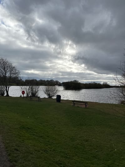 The image shows a landscape with a body of water, likely a lake or pond, running vertically through the center. On the right side of the water is a grassy area with several objects: a bench, a trash receptacle, and a red life preserver ring attached to a pole. Bare trees are visible along the edge of the water.
The sky is heavily overcast with gray clouds. The light reflects on the water's surface. The location is in Dunfermline, United Kingdom.