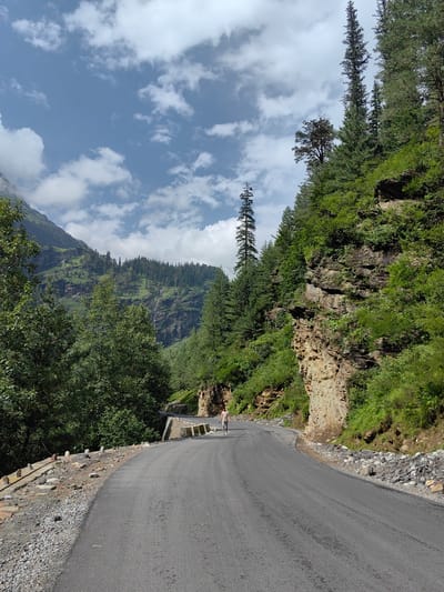 The image depicts a winding asphalt road in a mountainous region, likely in or near Kothi, India, given the lush green vegetation and steep rocky slopes. The road curves to the right, with a sheer, rocky cliff face covered in dense greenery on the right side. On the left side of the road, there is a lower embankment with gravel and some scattered stones, leading to a more densely wooded area with tall pine trees.

In the distance, the landscape is dominated by large, green mountains, some with visible waterfalls cascading down their sides. The sky is partly cloudy, with fluffy white clouds scattered across a pale blue expanse.

A single individual, appearing to be a person in light-colored clothing, is walking away from the camera on the road in the middle distance. They are walking towards the right of the frame. The overall scene is one of natural beauty and remoteness, with the road serving as a path through the dramatic mountain terrain.