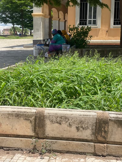 In Tavo, Nigeria, a sunlit outdoor scene unfolds with a focus on a section of lush green grass situated in front of a low, weathered concrete border. Behind this verdant foreground, a woman, draped in a vibrant turquoise and purple patterned garment, sits with her back to the camera. She is positioned under the shade of an arched, light-colored structure, possibly a veranda or colonnade, adjacent to a building with a pale orange facade and barred windows. To her left, on the ground, are several containers, including a blue bucket and what appear to be bottles and other assorted items. Another person, partially visible and wearing a yellow head covering, is seated to her right. The environment suggests a public or semi-public space, with trees and distant buildings visible in the background, indicating a town or city setting.