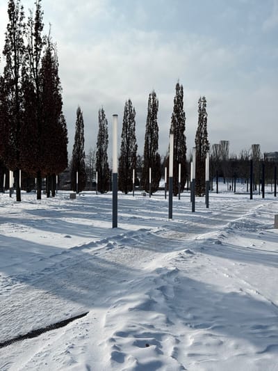 The image depicts a snow-covered urban park or landscaped area in Plodorodny, Russia. The ground is extensively covered by white snow, forming undulating drifts that partially obscure visible pathways. Numerous tall, slender deciduous trees, exhibiting dark brown winter foliage or bare branches, are systematically arranged across the scene. Interspersed among these trees and along the pathways are multiple modern, vertical light fixtures, each featuring a dark grey pole topped with a cylindrical, illuminated white section. These fixtures appear to be approximately 3-4 meters in height. In the distant background, a single dark, indistinct human figure is visible walking. The scene is illuminated by natural daylight, casting elongated shadows from the trees and light fixtures across the snow, indicative of a low sun angle under a partially cloudy sky.