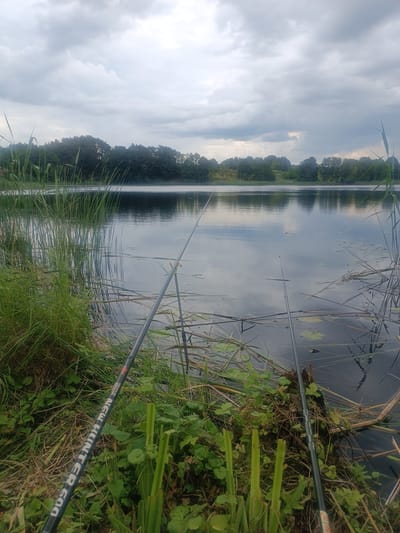 The image shows a peaceful fishing scene on a lake with a cloudy sky overhead. In the foreground, two fishing rods are set up near the water's edge, nestled among tall reeds and lush green vegetation. The lake's surface reflects the overcast sky and the surrounding trees, creating a serene atmosphere. The distant shore is lined with a dense forest. The location is identified as Далёкаўскі сельскі Савет, Belarus.