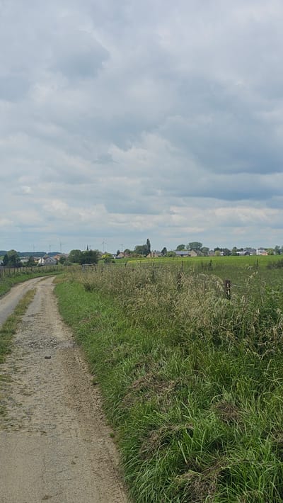 The image shows a dirt road in the rural area of Silenrieux, Belgium, curving to the left and leading towards a village in the distance. The road is bordered on the right by tall, green grass and some dry vegetation. In the background, the village features houses, a church steeple, and several wind turbines. The sky is overcast with gray clouds.
